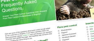 Pest Control Brighton FAQs